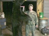 Ontario Bear hunt with Pickerel Lake Outfitters