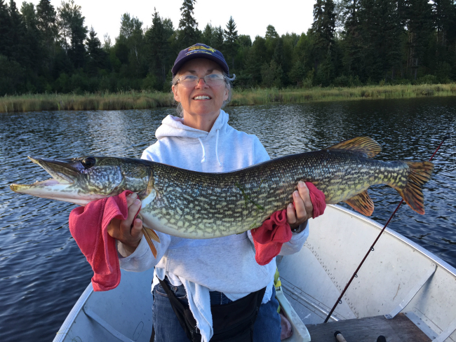 Canada fly-in fishing at Brown Bear Lake Outpost